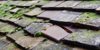 Cynheidre roof repair costs